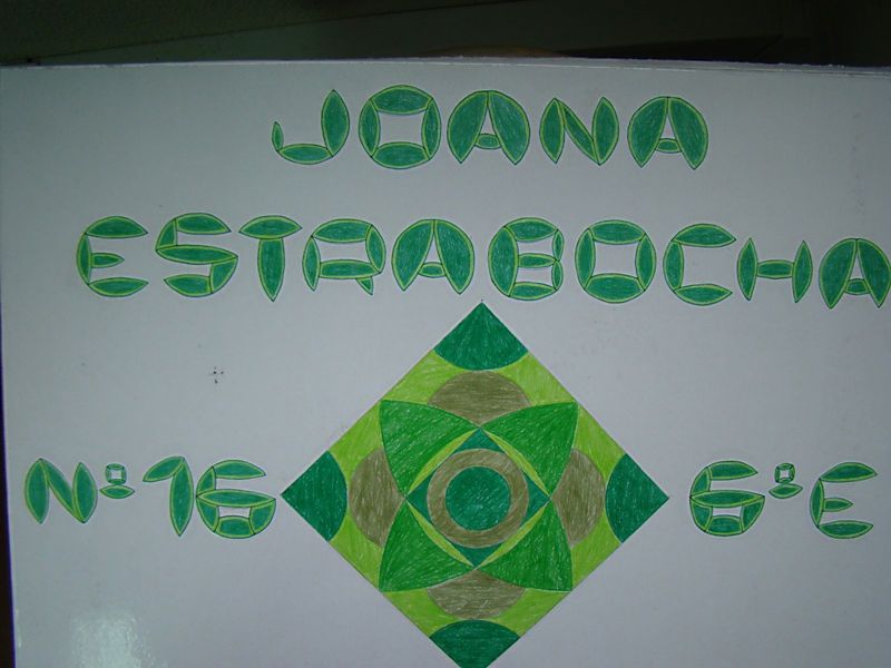 <h6></h6>
					<h5>Joana Estrabocha</h5>
					<h6>6ºE | 2010/2011</h6>