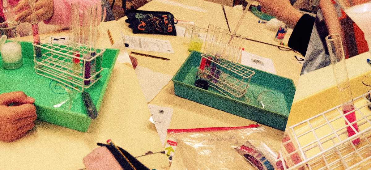 Descobrir, observar e experimentar