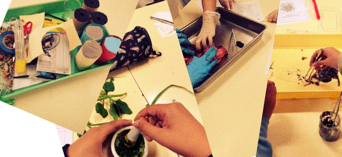 Novas descobertas no 2.º período